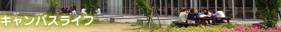 周辺案内